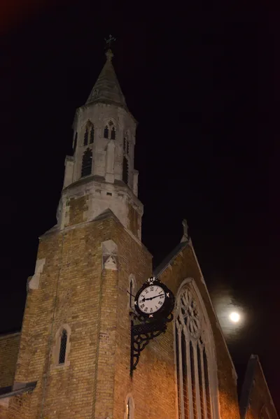 DSC_9045 (Large).JPG
